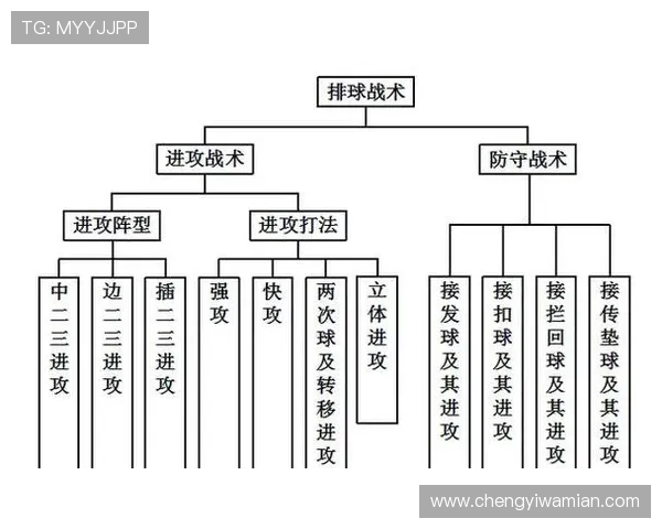 南京排球队快攻战术深度解析与实践应用探讨