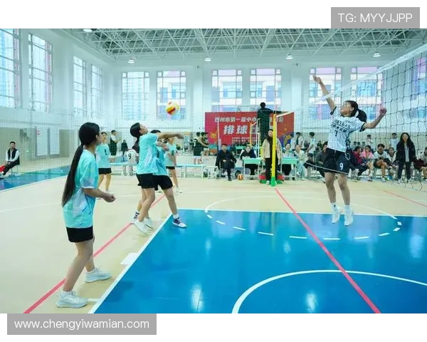 西安排球队挑战赛的辉煌历程与突破之路全景回顾